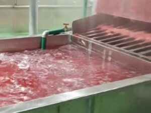 西乡屠宰厂用一台1吨燃气蒸汽发生器打通流水线