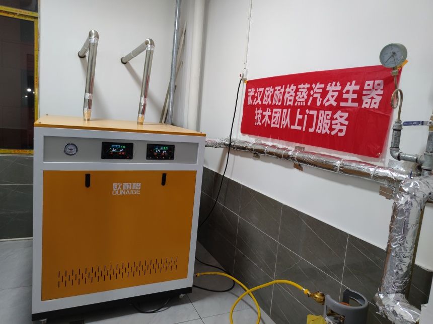 蒸汽发生器夏季养护