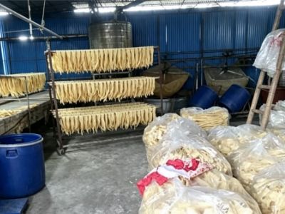 腐竹加工用蒸汽发生器