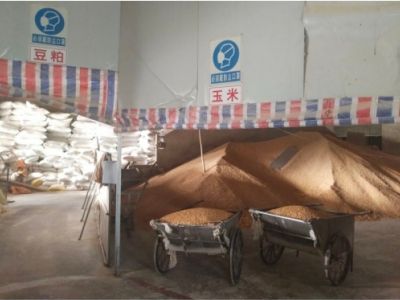 宠物食品生产