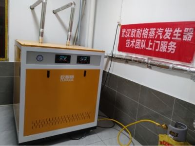 蒸汽发生器安装