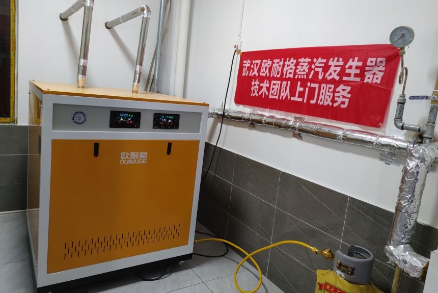 蒸汽发生器安装